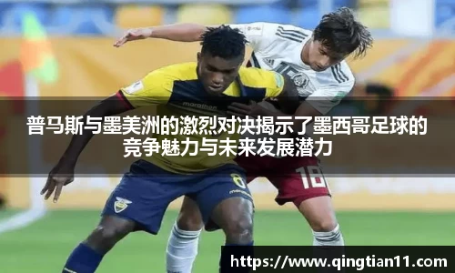 彩神VI首页官网